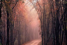 兰博电竞：热刺在对南安普顿的比赛中上演闪电进球，比赛第36秒即破门.