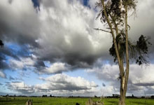 兰博电竞：C罗谈霍伊伦模仿自己庆祝：完全没问题，希望明天他看我庆祝.