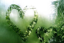 除了郎平，就没有人能救中国女排？.