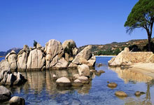 兰博电竞:三巨头缺席今年ATP总决赛,德约科维奇:这阵子会专心休息调整环球时报.